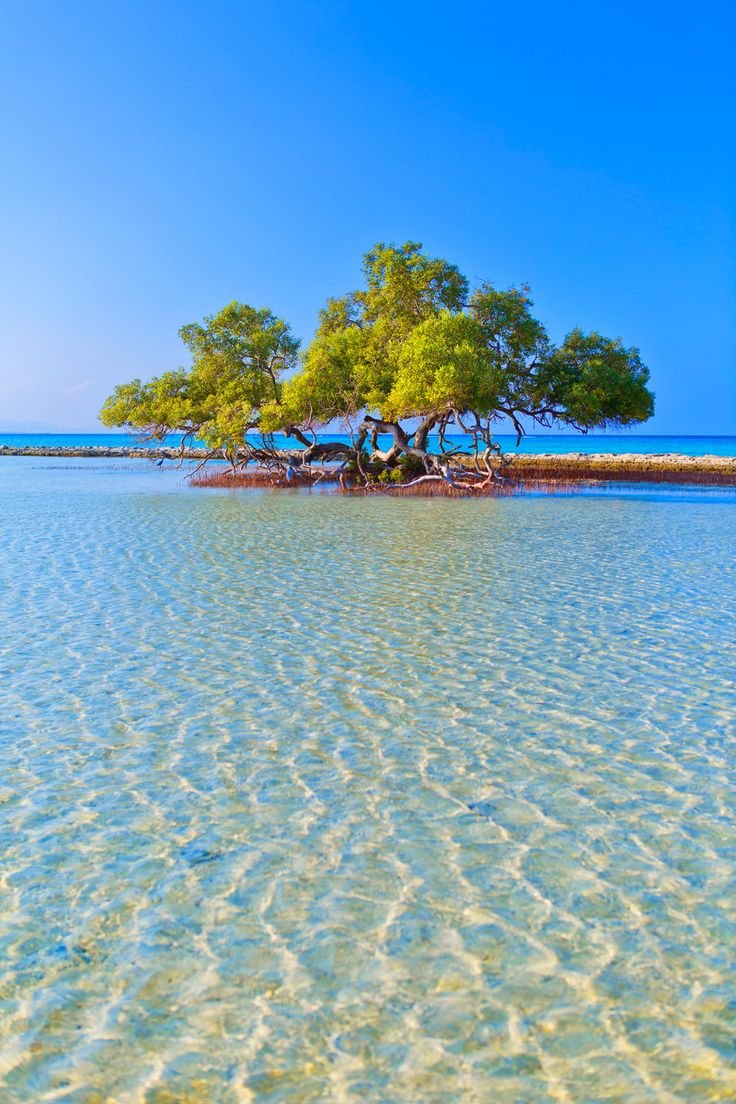 Egypt authentic vibes