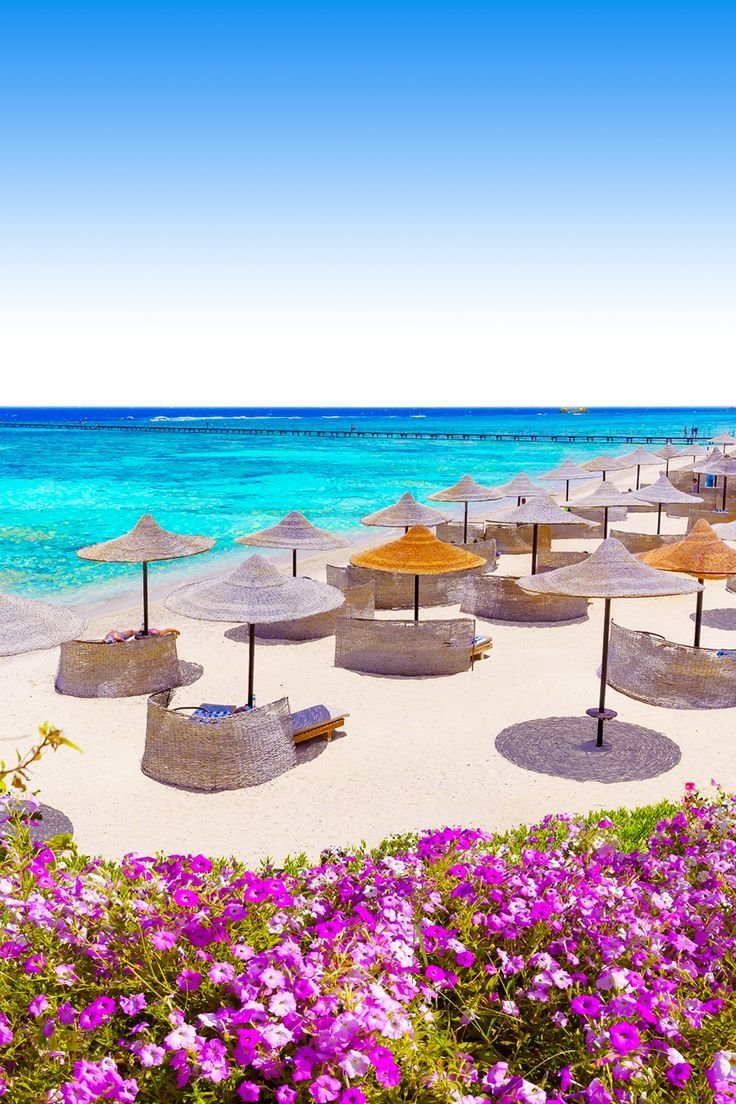 Home | Escursioni a Marsa Alam e Mar Rosso