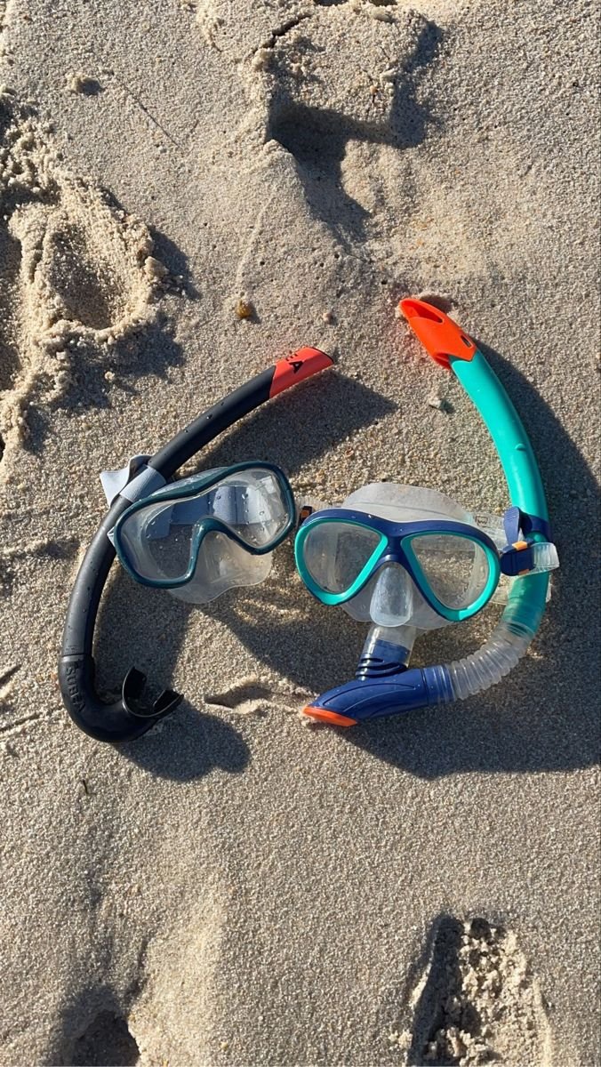 Home | Escursioni a Marsa Alam e Mar Rosso