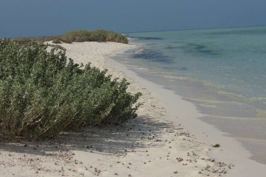 isola deserta in mezzo 1